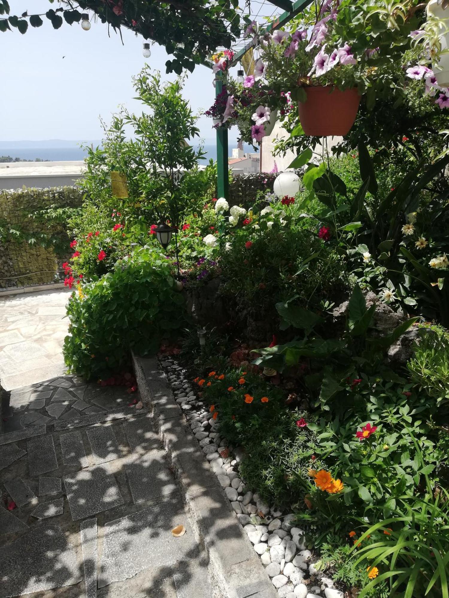 Apartment D&M1 Makarska Kültér fotó